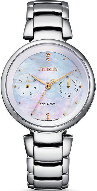 Citizen Eco-Drive FD1106-81D
