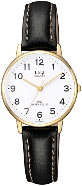 Q&Q Analogové hodinky QZ01J104