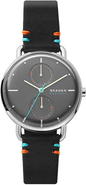 Skagen Horizont SKW2930