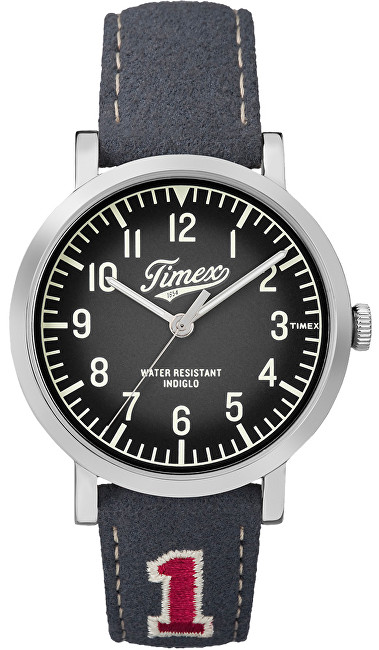 Timex Originals TW2P92500D7