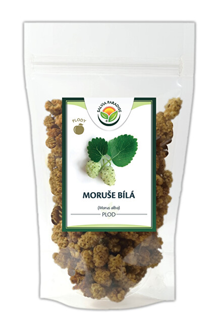 Zobrazit detail výrobku Salvia Paradise Moruše bílá plody 500 g Zobrazit detail výrobku Salvia Paradise Moruše bílá plody 500 g