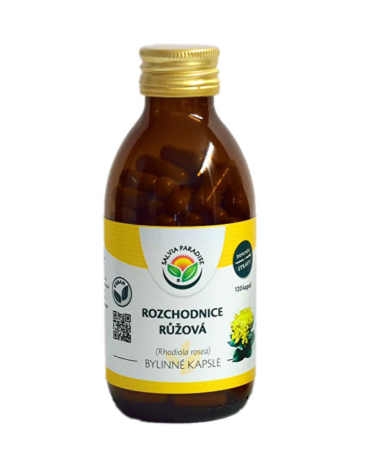 Zobrazit detail výrobku Salvia Paradise Rozchodnice - Rhodiola kapsle 60 ks Zobrazit detail výrobku Salvia Paradise Rozchodnice - Rhodiola kapsle 60 ks