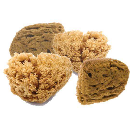 Zobrazit detail výrobku Natural Intimacy Mořská mycí houba na pleť 4M Zobrazit detail výrobku Natural Intimacy Mořská mycí houba na pleť 4M