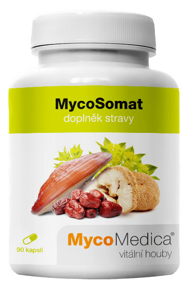 Zobrazit detail výrobku MycoMedica MycoSomat 90 kapslí Zobrazit detail výrobku MycoMedica MycoSomat 90 kapslí