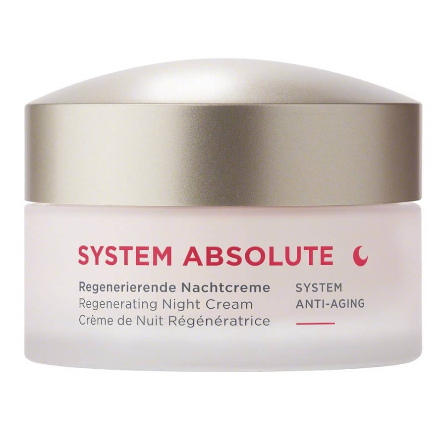 ANNEMARIE BORLIND Noční krém SYSTEM ABSOLUTE System Anti-Aging (Regenerating Night Cream) 50 ml