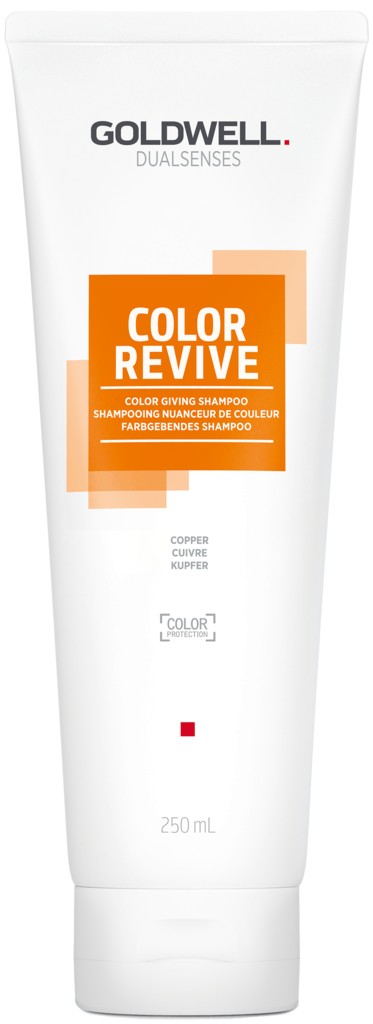 Goldwell Šampon pro oživení barvy vlasů Copper Dualsenses Color Revive (Color Giving Shampoo) 250 ml