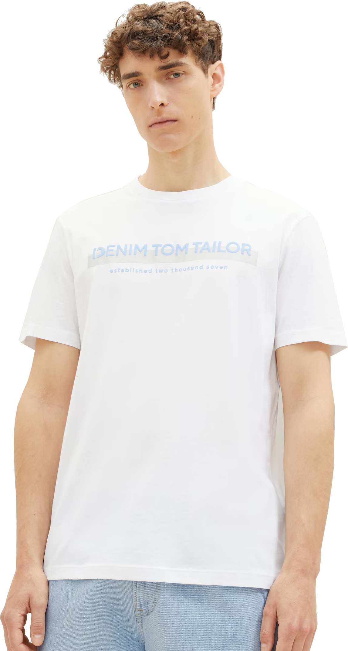 Tom Tailor Pánské triko Regular Fit 1037653.20000 L