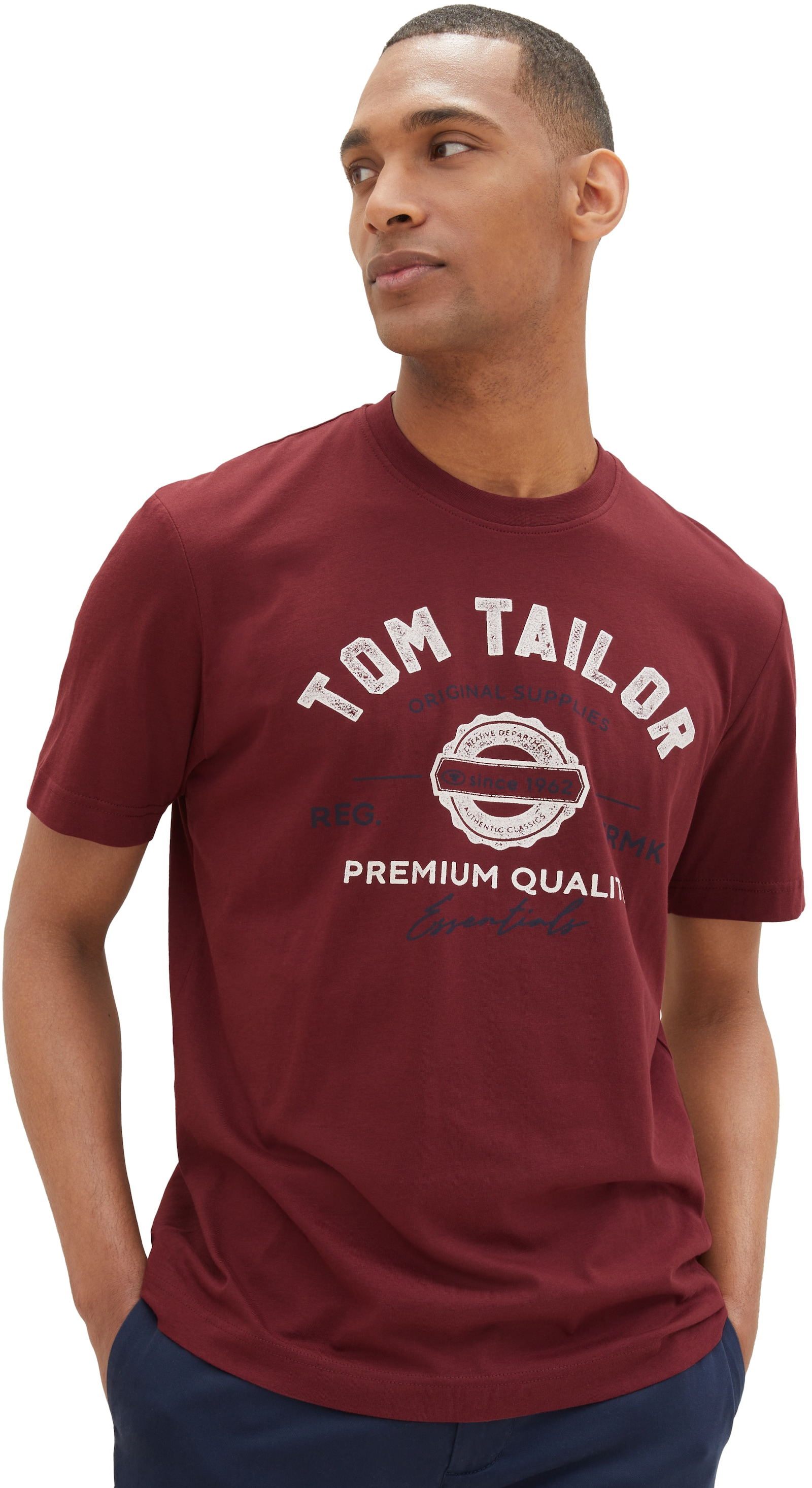 Tom Tailor Pánské triko Regular Fit 1037735.10574 S