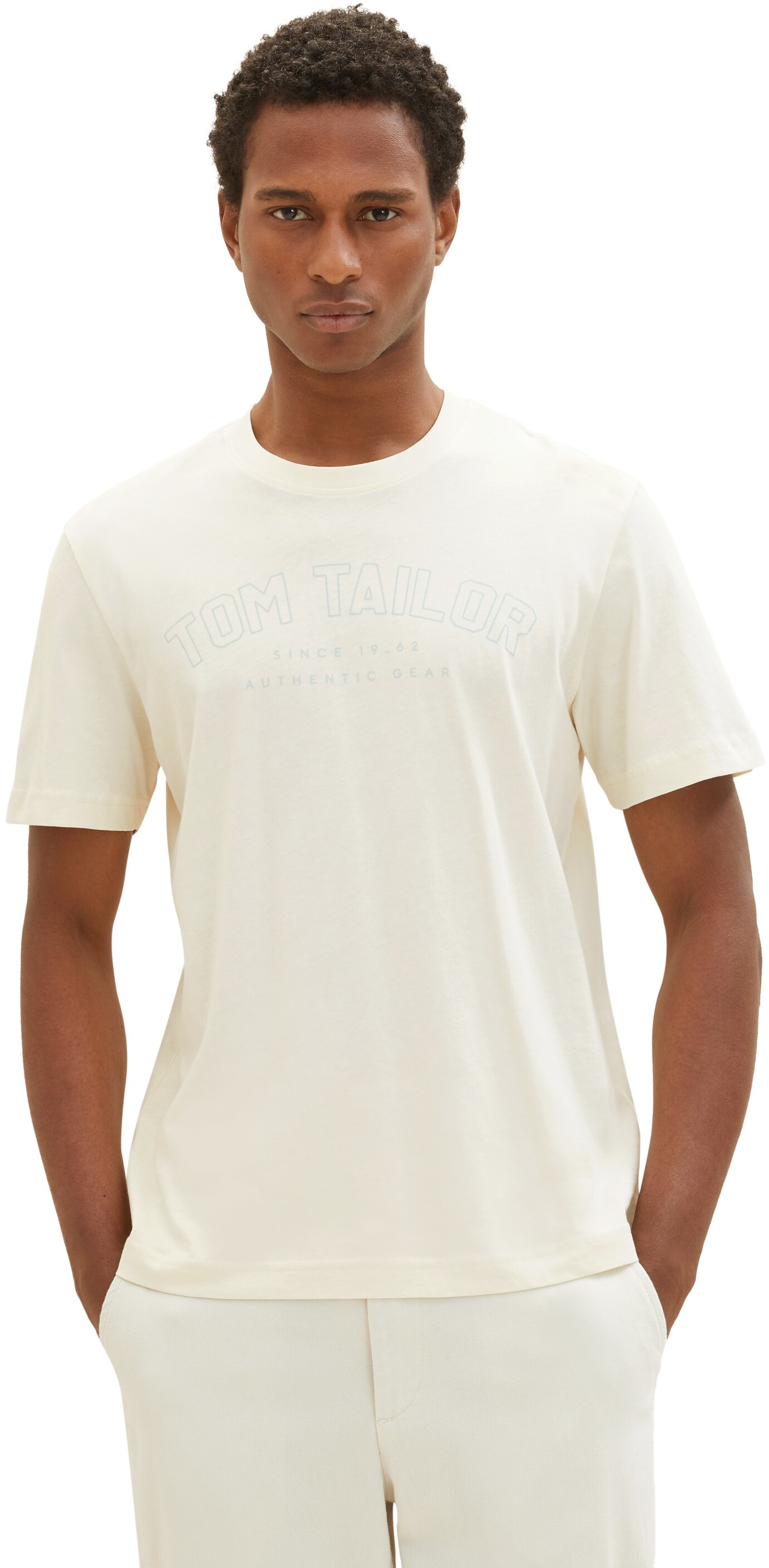 Tom Tailor Pánské triko Regular Fit 1037736.18592 M
