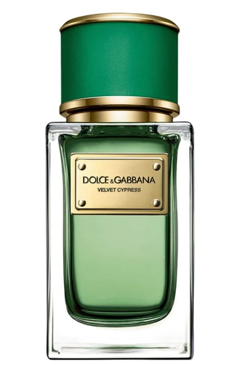 Dolce & Gabbana Velvet Cypress - EDP 50 ml