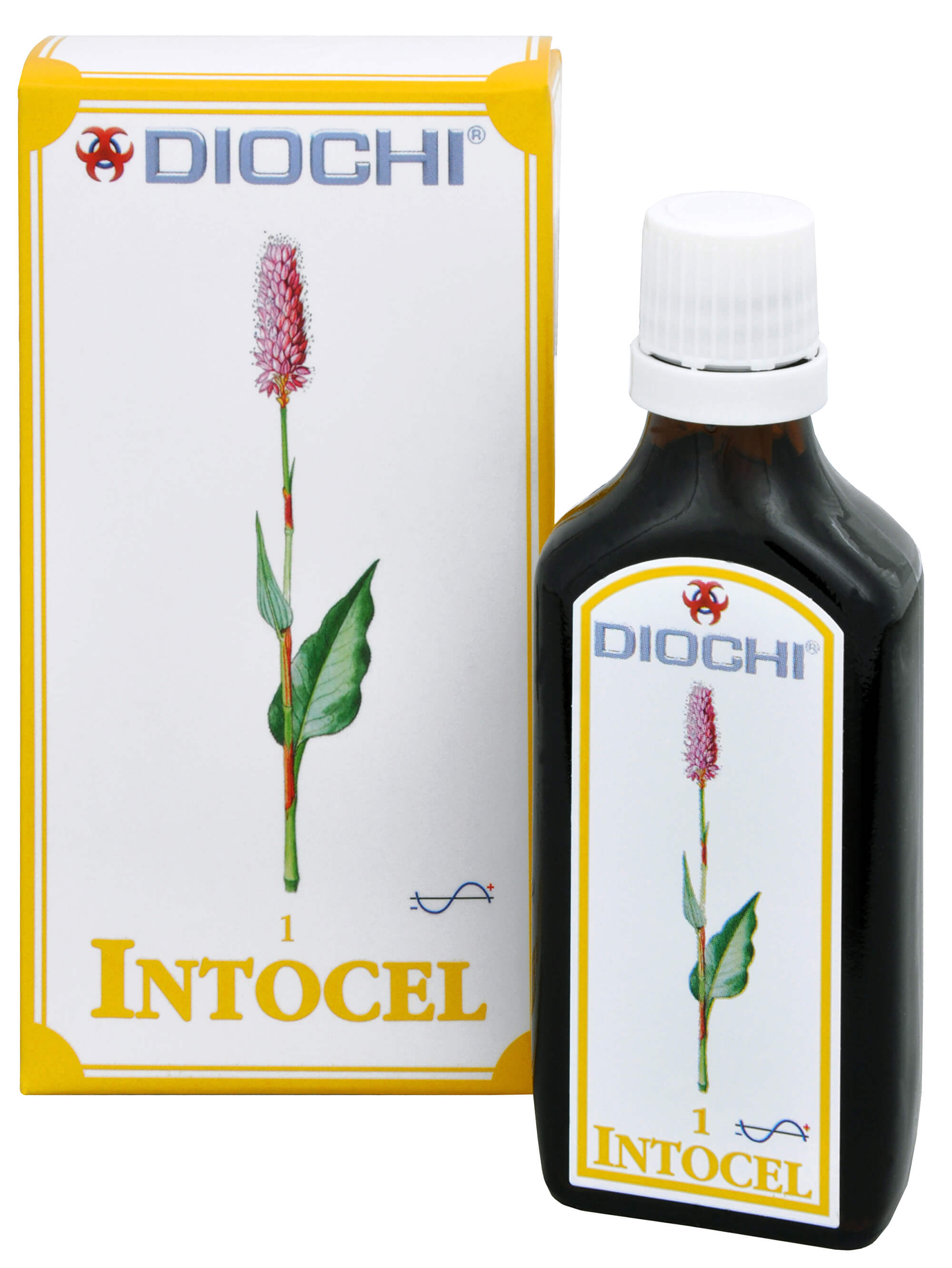 Diochi Intocel kapky 50 ml