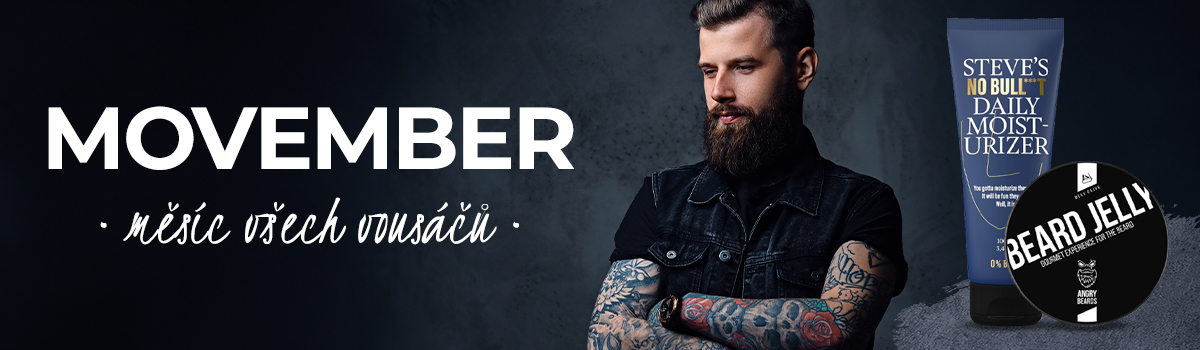 Movember: Měsíc všech vousáčů