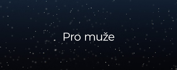 Výprodej parfémů pro muže