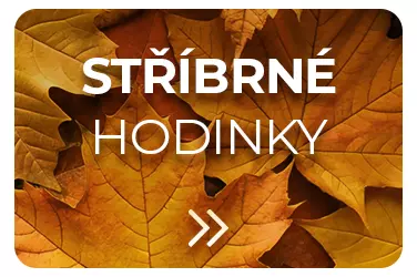 Stříbrné hodinky