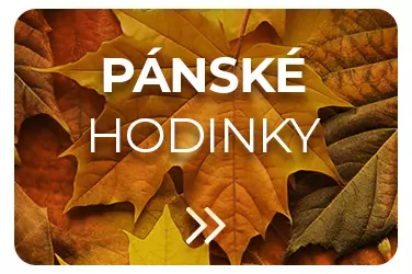 Pánské hodinky