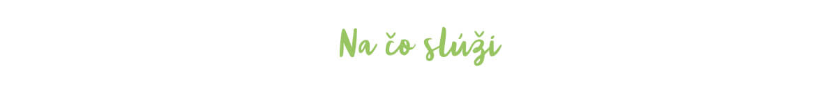K čemu slouží pesto z medvědího česneku K čemu slouží pesto z medvědího česneku
