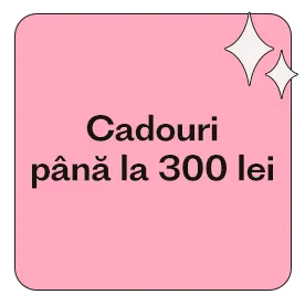 Cadouri până la 300 lei
