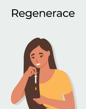 Regenerace
