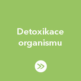 Detoxikace organismu
