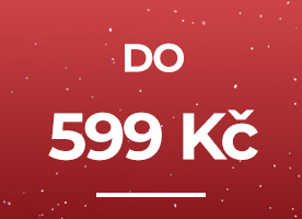 Hodinky do 599 Kč