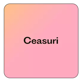 Ceasuri