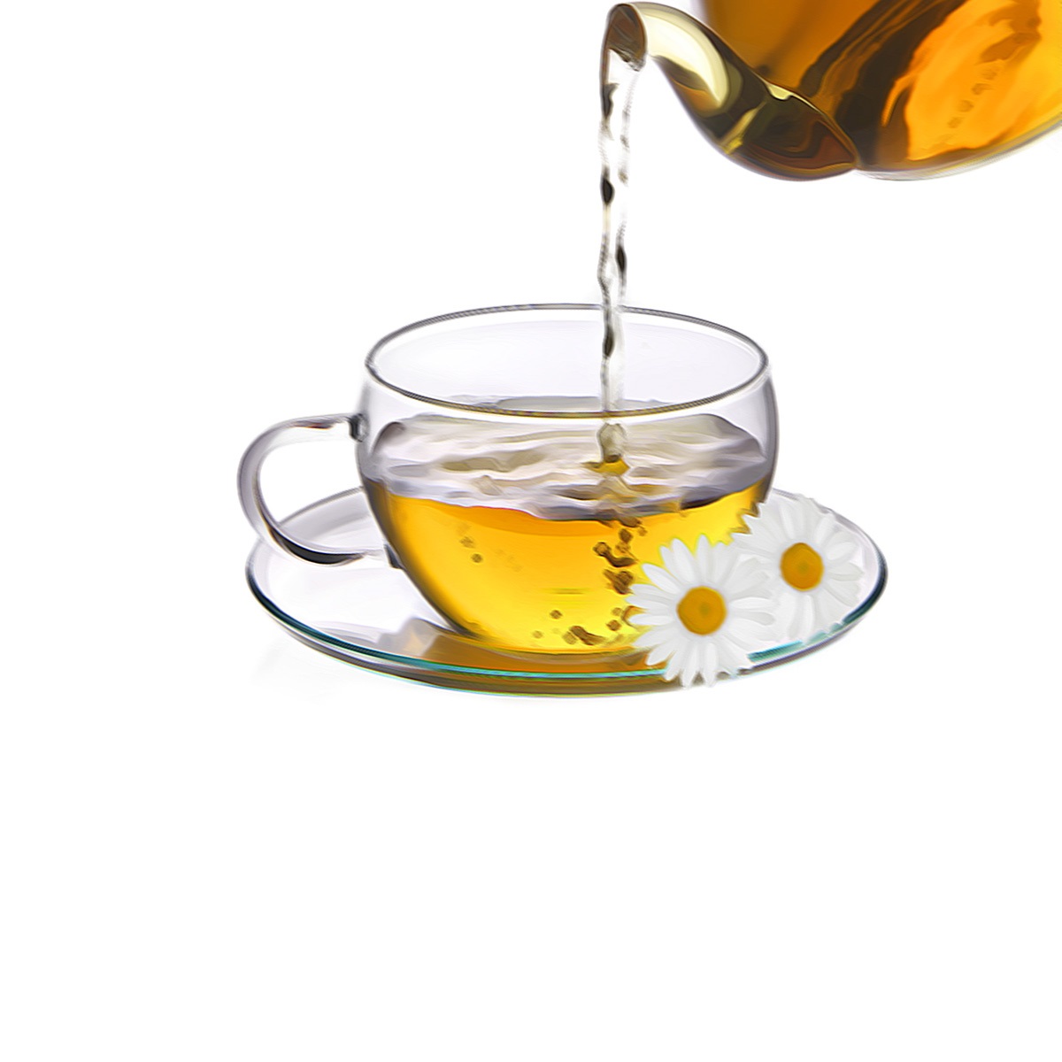 Sedmikráskový čaj na dýchací obtíže