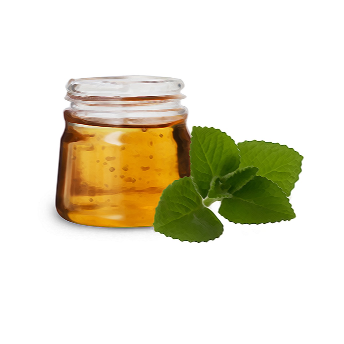Domáci sirup z rýmovníka