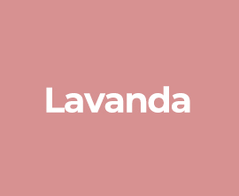 Lavanda