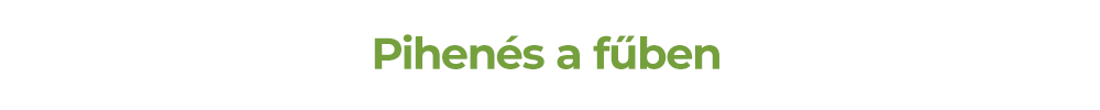 Pihenés a fűben