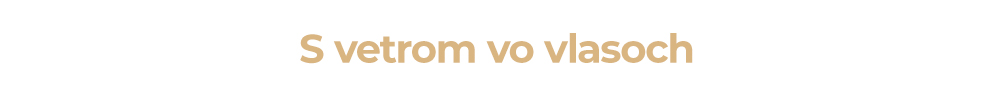 S vetrom vo vlasoch