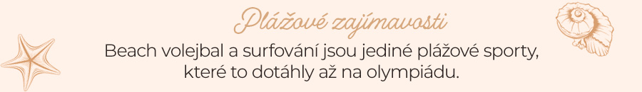 Objevte další zajímavosti z pláže
