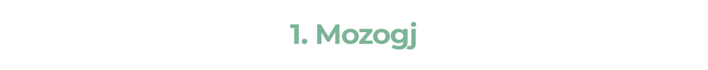 1. Mozogj