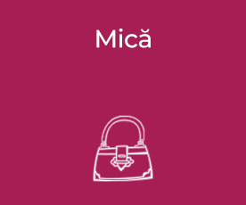 Mică