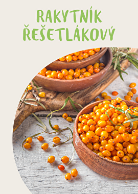 Rakytník řešetlákový (Hippophae rhamnoides)