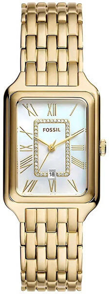 Fossil Fossil Raquel ES5304