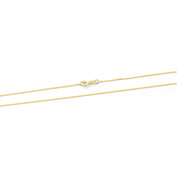 Beneto Exclusive Nadčasový zlatý řetízek Pancer AUS0009-G 42 cm