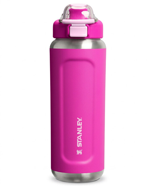 Stanley 1913 Stanley 1913 Termofľaša The Wellspring 700 ml Violet Blossom