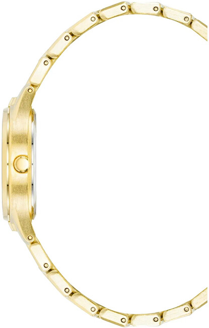 Anne Klein Metals AK/4060CHGB analogové