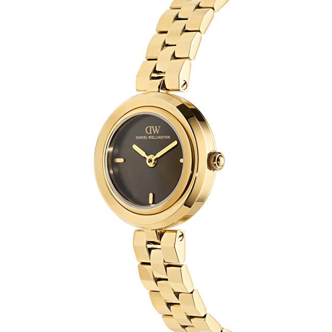 Daniel Wellington Aurea 25 3-Link Black G DW00101002 analógové