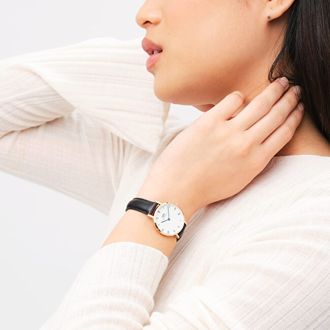 Petite Roman Numerals Sheffield Rose Gold DW00100683