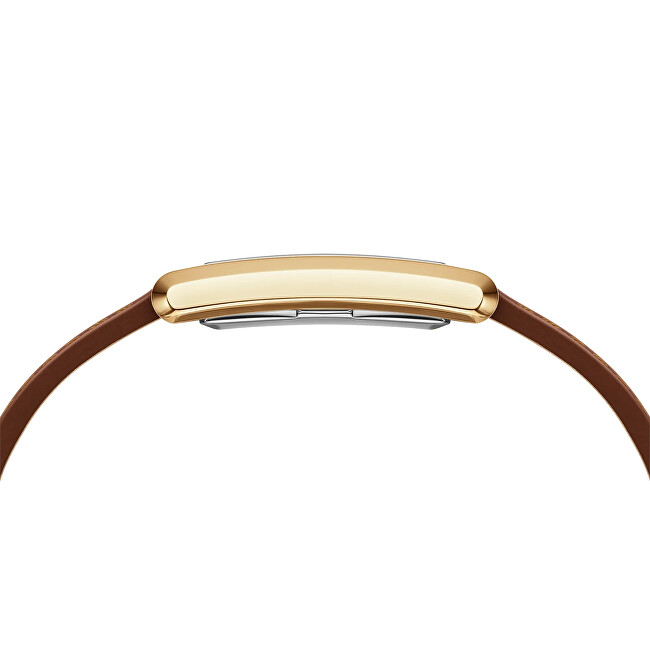 Daniel Wellington Bound 32x22 DW00100696 analogové