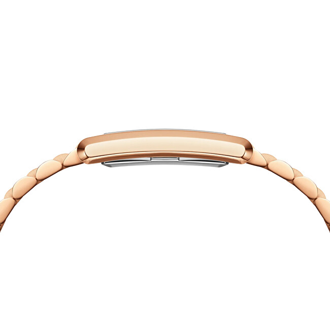Daniel Wellington Bound 35x24 DW00100702 analogové