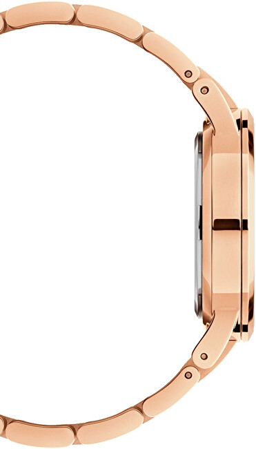 Daniel Wellington Iconic Link 40 DW00100344 analógové