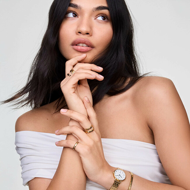 Daniel Wellington Petite 28 Roman Numerals Date 5-Link White Gold DW00100857