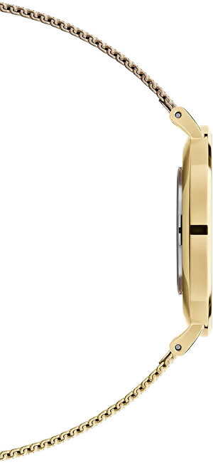 Petite 36 Evergold G White DW00100346