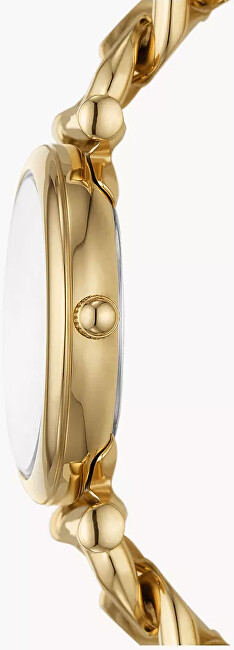 Fossil Carlie ES5329