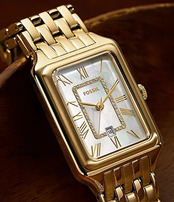 Fossil Raquel ES5304