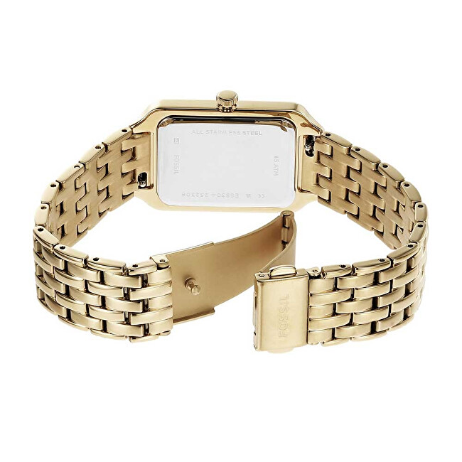 Fossil Raquel ES5304