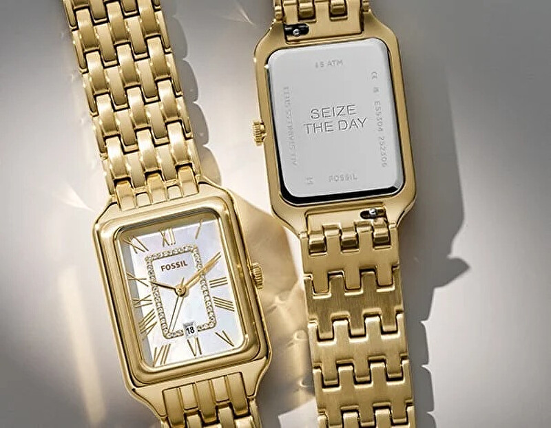 Fossil Raquel ES5304