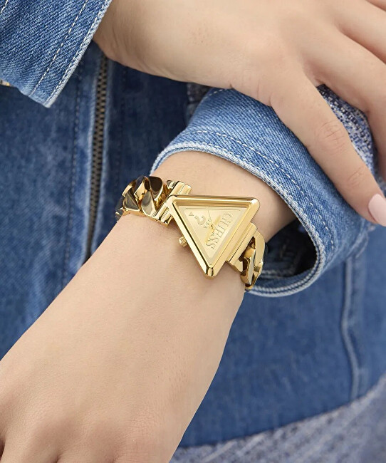 Fame GW0859L2